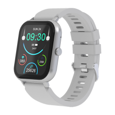 Смарт часы Maxvi SW-02 grey 
