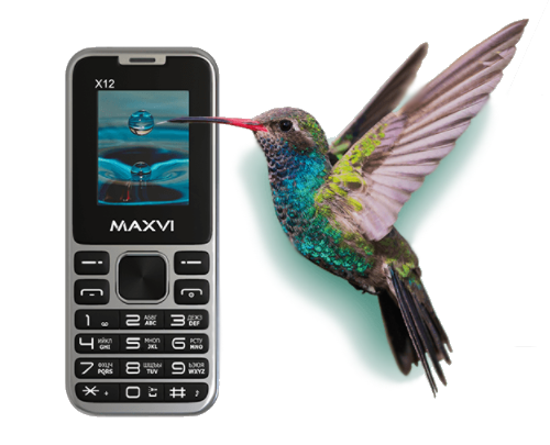 Maxvi-x12.png Maxvi-x12.png
