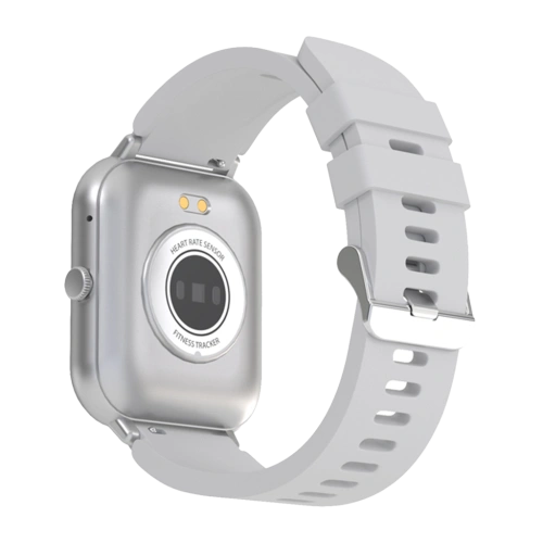 Смарт часы Maxvi SW-02 grey 
