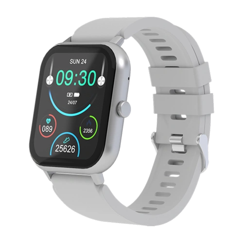 Смарт часы Maxvi SW-02 grey 