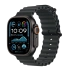 Apple Watch Ultra 2 2024 Black Black Ocean Band (Черный) Apple Watch Ultra 2 2024 Black Black Ocean Band (Черный)
